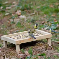 Cj Wildlife Grondvoedertafel Voor Vogelvoer | Deze Voedertafel Is Makkelijk Te Verplaatsen En Schoonmaken | Vivara