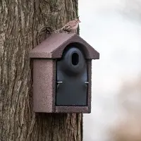 Cj Wildlife Nestkast Bilbao - Woodstone ovale invliegopening | |