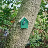 Cj Wildlife Nestkast Diamond - groen 32 mm | | | | Partner van Vogelbescherming Nederland