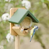 Cj Wildlife Pindakaaspothouder Dublin op paal | | Voedersystemen | Partner van Vogelbescherming Nederland