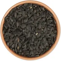 Cj Wildlife Zwarte Zonnebloempitten 2,5 kg | Vogelvoer |