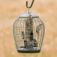 Cj Wildlife Beschermsilo voor kleine vogels Aura | | Voedersystemen | Partner van Vogelbescherming Nederland