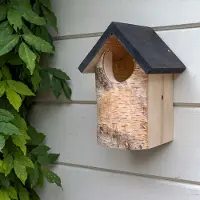 Cj Wildlife Berken Nestkast Kingston - halfopen | |