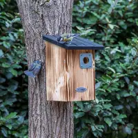 Cj Wildlife Protector Beaumont Nestkast 34 mm | | | | Partner van Vogelbescherming Nederland