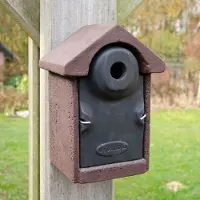 Cj Wildlife Nestkast Bilbao WoodStone Bruin 32 Mm | Houtbetonnen vogelhuisje | Vivara | Aanbevolen door Vogelbescherming Nederland | Geschikt voor mezen