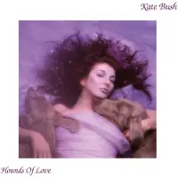 Bertus Distributie Kate Bush - Hounds Of Love