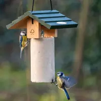 Cj Wildlife Pindacakehuis Claviere | | | Partner van Vogelbescherming Nederland