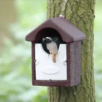 Cj Wildlife Nestkast Barcelona WoodStone halfholenbroeder Bruin | |