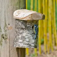 Cj Wildlife Nestkast Stockholm 28 mm | Vivara | Nestkasten en vogelhuisjes | Partner van Vogelbescherming Nederland | Berken vogelhuisje geschikt voor pimpelmees