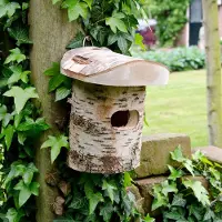 Cj Wildlife Nestkast Winterkoning Berken & Halfopen | Vivara | Nestkasten en vogelhuisjes | Partner van Vogelbescherming Nederland | Berken vogelhuisje