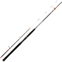 Daiwa Megaforce Boat Bodemvissen Hengel