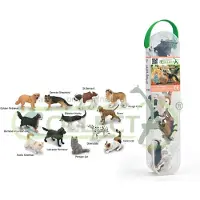Collecta Figurine Mini Set - 12 Huisdieren - Huisdieren - Handgeschilderd - Miniatuur