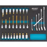 Hazet 163-367/31 Thuiswerker Gereedschapsset 31-delig