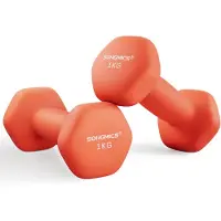 Songmics - Dumbells - Dumbells 1 kg - Hexagon Dumbells - 2 Stuks van 1 kg - Voor Krachttraining Thuis