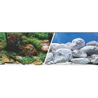 Marina 3d-watertuin En Stenen Aquarium Achtergrond