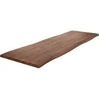 DELIFE Eettafelblad Edge 300x100cm XL acacia bruin Live-Edge