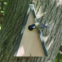 Cj Wildlife Nestkast Hamburg 32 mm | | | | Partner van Vogelbescherming Nederland