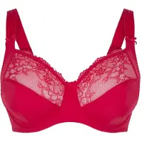 Lingadore BH rood