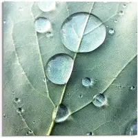 Reinders Glasschilderij Dauwdruppels - 30 x 30 - Glas -