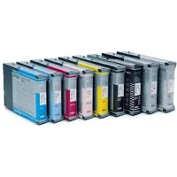 Epson Inktcartridge T605 (C13T605100) Foto-zwart