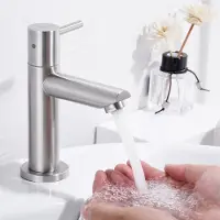 CECIPA MAX Wastafelkraan Koud - Kleine Badkamerkraan - Waterbesparende Fonteinkraan - RVS Geborsteld - Eenvoudige Montage