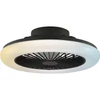 Brilliant Plafondventilator met ledlamp | Montero | Ø 42 cm | 2700-6500K | zwart | 20W |