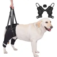 INF Honden Achterpoot Ondersteuningsharnas - Mobiliteitshulp voor Oudere & Gewonde Huisdieren L