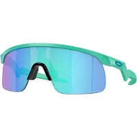 Oakley Resistor (Prizm Sapphire) | ONE SIZE