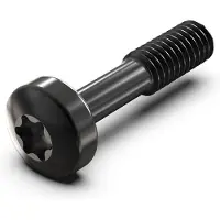 Schroff Kraagschroef, Torx M2,5 x 12,3 mm, staal zwart, 100 stuks