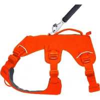 Ruffwear - Web Master Harness - Hondentuig S, oranje