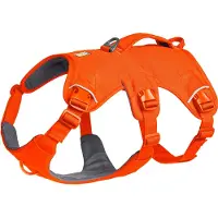 Ruffwear - Web Master Harness - Hondentuig S, oranje