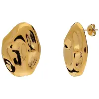 Lucardi Dames Stainless steel oorknoppen voor dames - Oorbellen - Staal - Goudkleurig