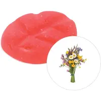 Scentchips Tuinfeest - Geurblokjes - Huisparfum - Geurchips - Waxmelts - Geschikt voor Geurbrander en Waxbrander - XL - 38 Stuks
