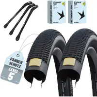 Schwalbe Set van 2 Schwalbe Billy Bonkers HS 600 vouwband 20 x 2.00 (ETRTO 50-406) met AV Autoventiel binnenbanden – ADDIX Standard, Performance Line, E‑Bike Ready 25 km/u – zwart + 3 metalen bandenlichters