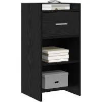 vidaXL Dressoir, zwart eikenfineer, 40 x 36 x 80 cm, houtvezel