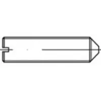 Toolcraft TO-5434800 Draadpen M2,5 4 mm 200 stuk(s)