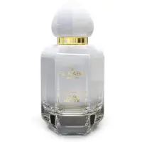 El Nabil Eau de Parfum - - MUSC SILVER - 50ml - Noten van Munt en Citroen - Mannenparfum