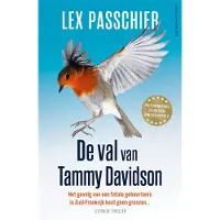 Luitingh-sijthoff De val van Tammy Davidson (Paperback)