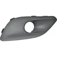 Diederichs 4236049 Afdekkap, mistlamp
