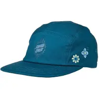 Santa Cruz Scatter Pet