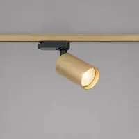 Lyora Railspot TraQ Orion goud