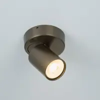 Lyora Plafondlamp Moon 1 rond brons