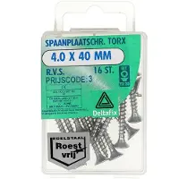 Deltafix - Sp.pl.schr.torx 3,0x20mm rvs 36st