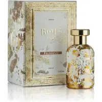 Bois FIRENZE FRAMMENTI PARFUM 100 ML UNISEX