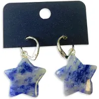Ruben Robijn Sodaliet ster oorbellen - fashion jewelry