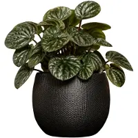 Mica Decorations Plantenpot - keramiek - antraciet glans / ribbels - D13 x H14 cm - bloempot Porto
