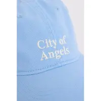 America Today Cap Tess