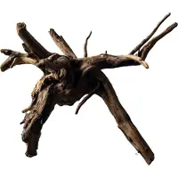 Superfish Aquarium Decoratie Spiderwood S 20-30 Cm