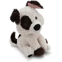Nici Dog Teddy 25 Cm Beige Kinderen