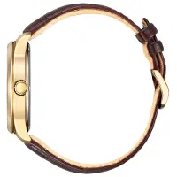 Citizen herenhorloge Bruin BM8553-16AE